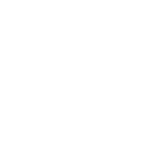 24 Monkeys